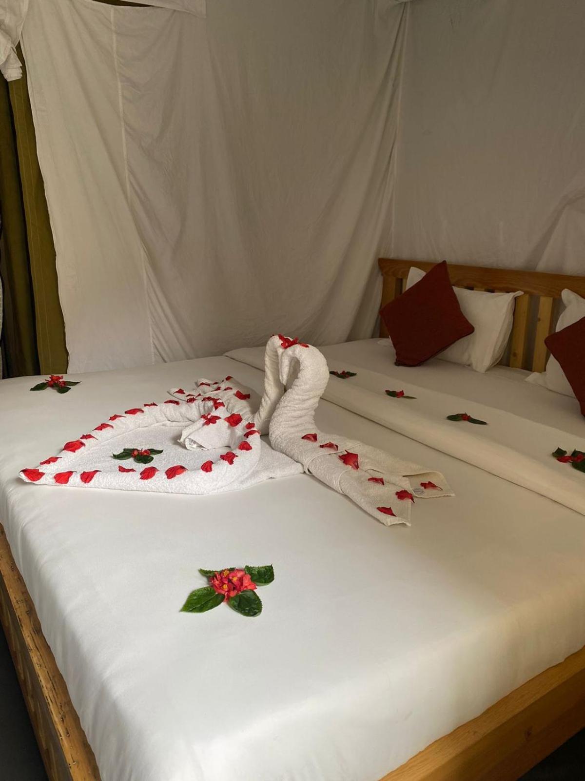 Kalash Parkaze And Tent Inn Pokhara Buitenkant foto